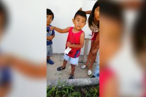 Videos virales hechos canciones