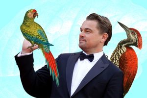 Leonardo DiCaprio
