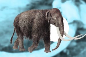 Nuevo aeropuerto de la CDMX