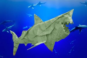 Shark Tank México | Coolture