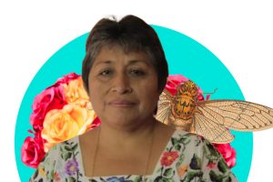 Leydy Pech | Digitallpost