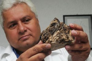 Rafael Navarro | Coolture