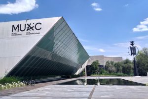 MUAC reapertura | Coolture