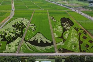 Arroz juegos Olímpicos | Coolture