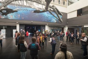 Vacaciones Universum | Coolture