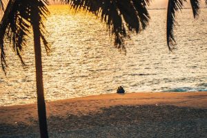 Vacaciones verano | Coolture