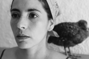 Polvo de gallo película | Coolture