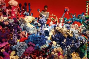 Crochet Coral Reef México | Coolture