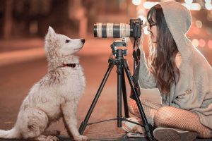 dogfluencers instagram | Coolture