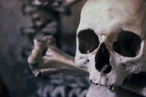 Choo Ba'ak maya | Coolture