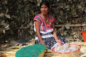 Día Nación Pluricultural México| Coolture