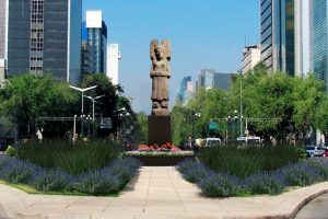 joven Amajac Paseo Reforma | Coolture