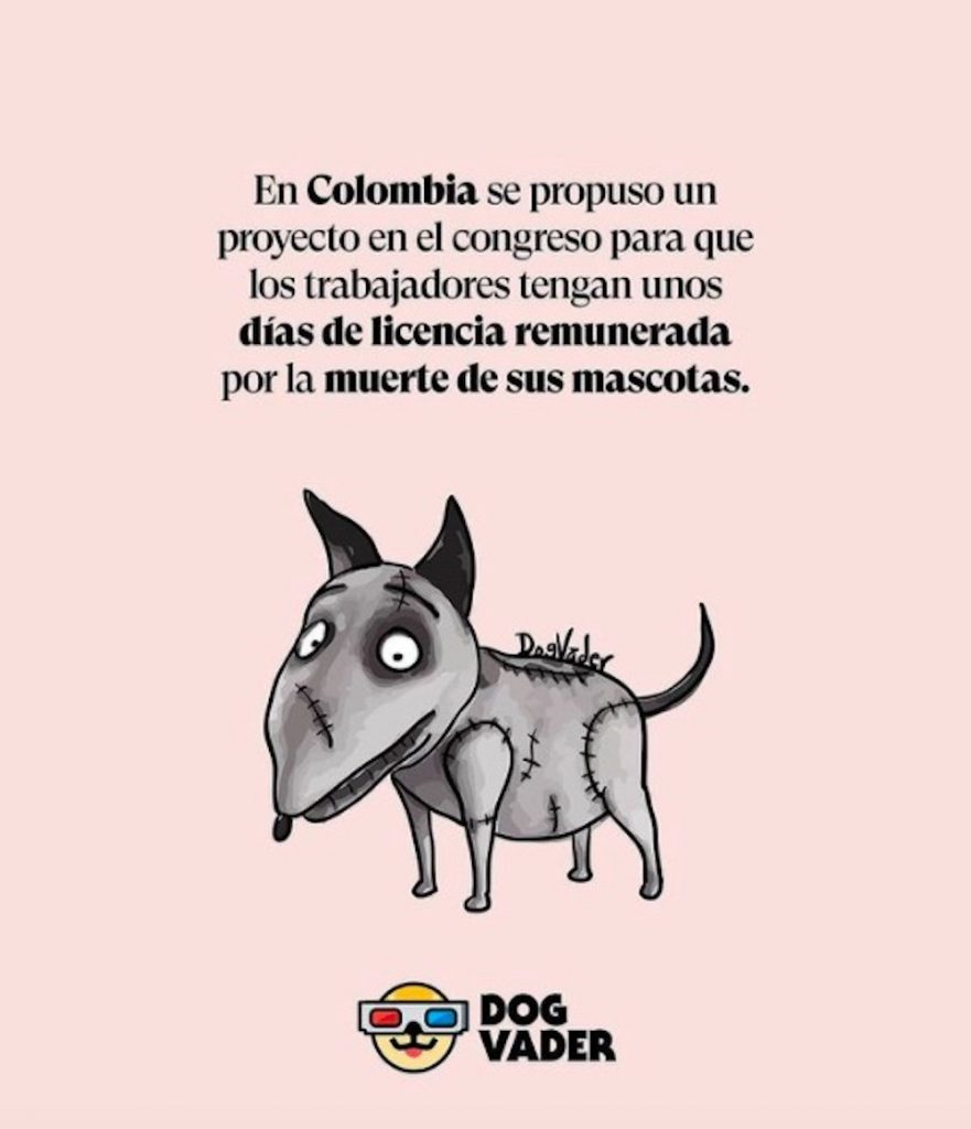 perros adopción campaña telenovelas | Coolture