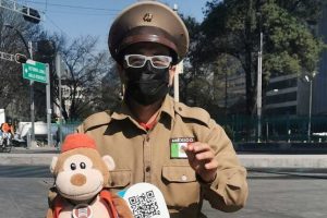 organillero | Coolture