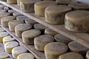 queso Brasil | Coolture