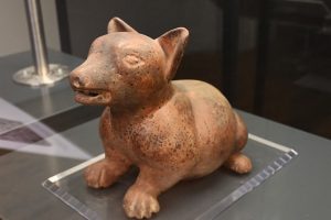 Tlatelolco Xaltilolli | Coolture