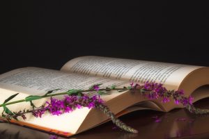 libros Reyes Magos | Coolture