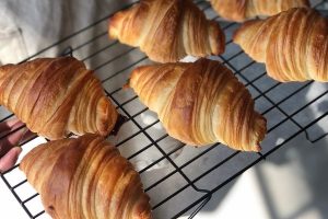 Panina San Miguel de Allende