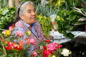 feria de las flores de san angel